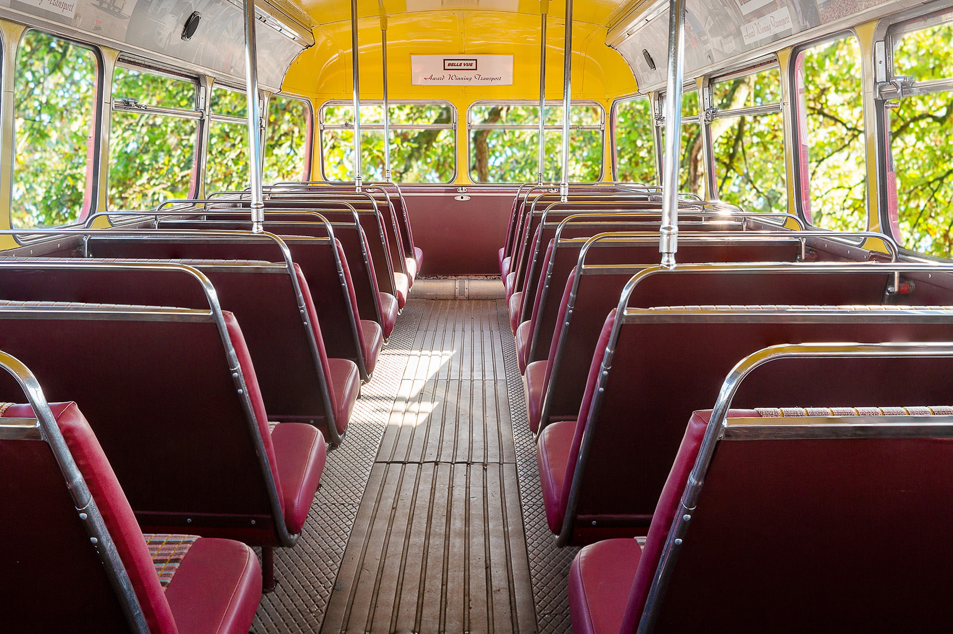 Belle Vue coaches-8 trees