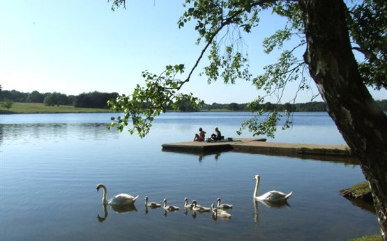 picnics-in-the-parkland-web-Cropped-555x346