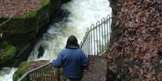 Healey-Dell-Nature-Reserve2